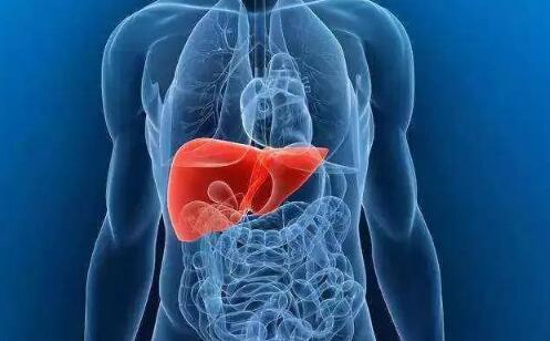 炎症诊断中医用红外热像仪是如何运用的