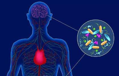 红外热像仪扫描脑部能够检查出什么疾病