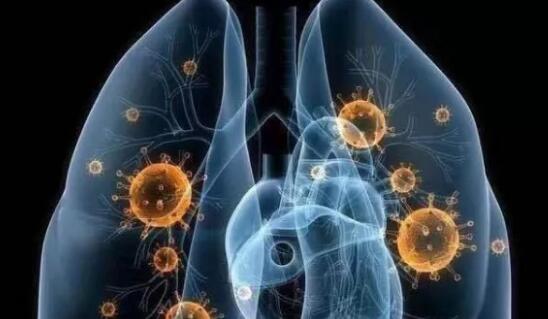 为何新冠病毒、SARS的靶器官总是肺