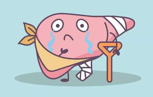 熬夜酗酒、过度疲劳、暴饮暴食......今天你“爆肝”了吗？