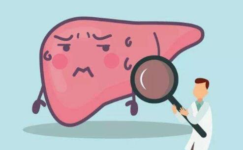 熬夜酗酒、过度疲劳、暴饮暴食......今天你“爆肝”了吗？