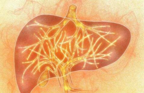熬夜酗酒、过度疲劳、暴饮暴食......今天你“爆肝”了吗？